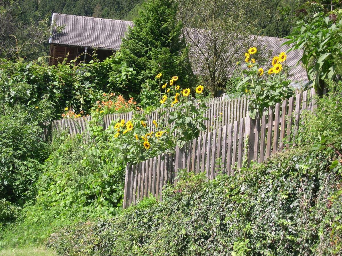 Obergereuth Hof 1288 Apartment San Martino In Passiria  ภายนอก รูปภาพ