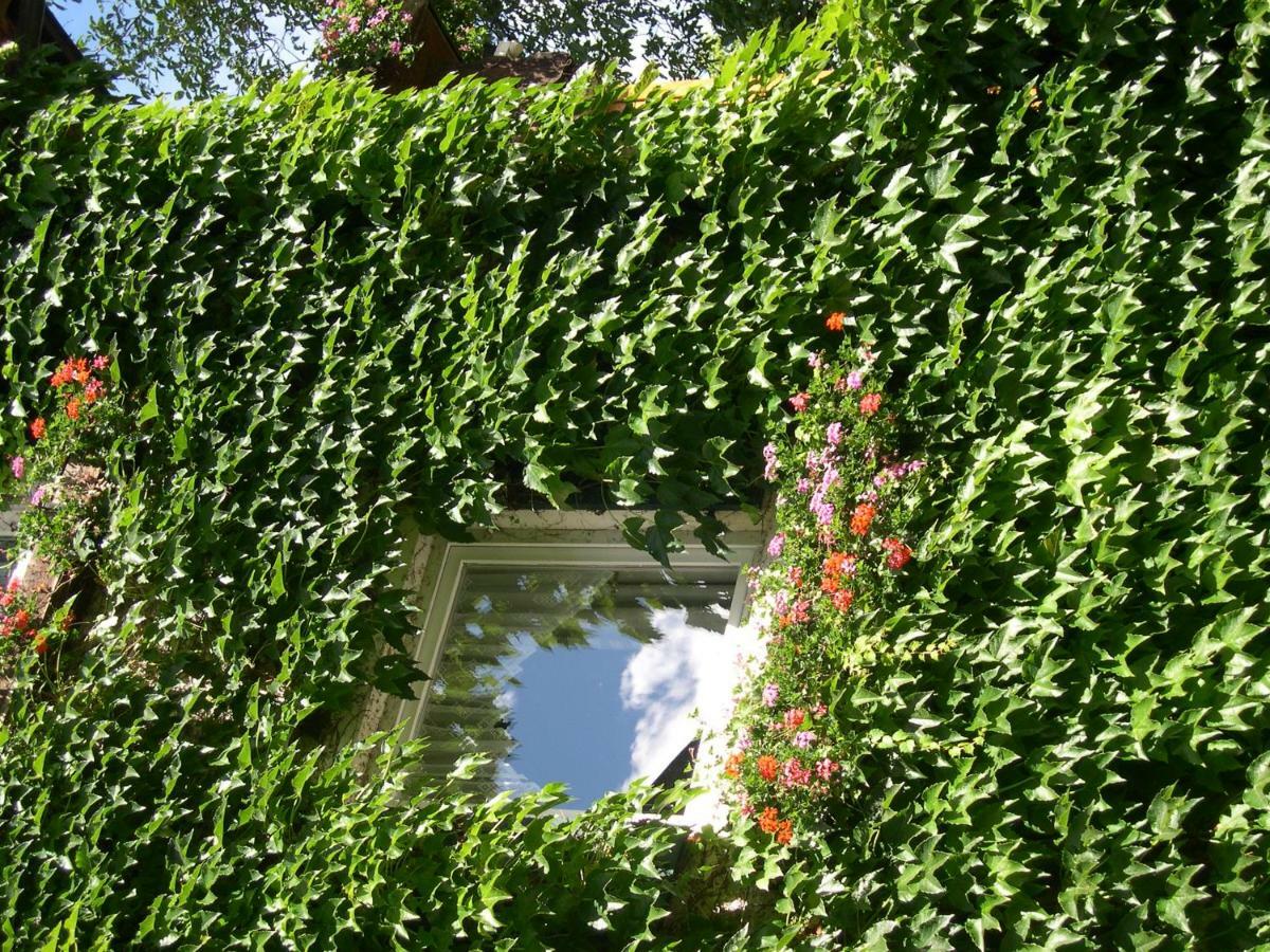 Obergereuth Hof 1288 Apartment San Martino In Passiria  ภายนอก รูปภาพ