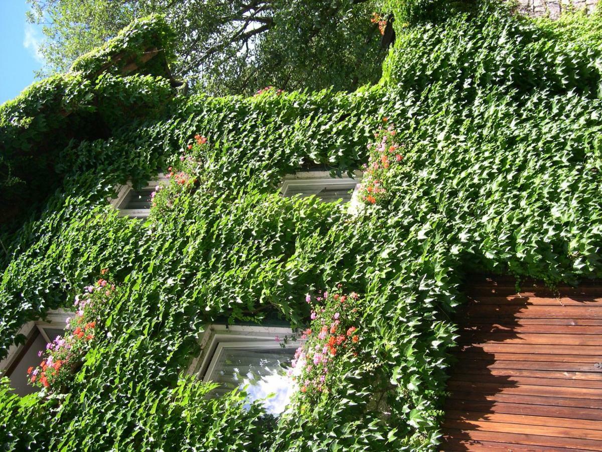 Obergereuth Hof 1288 Apartment San Martino In Passiria  ภายนอก รูปภาพ