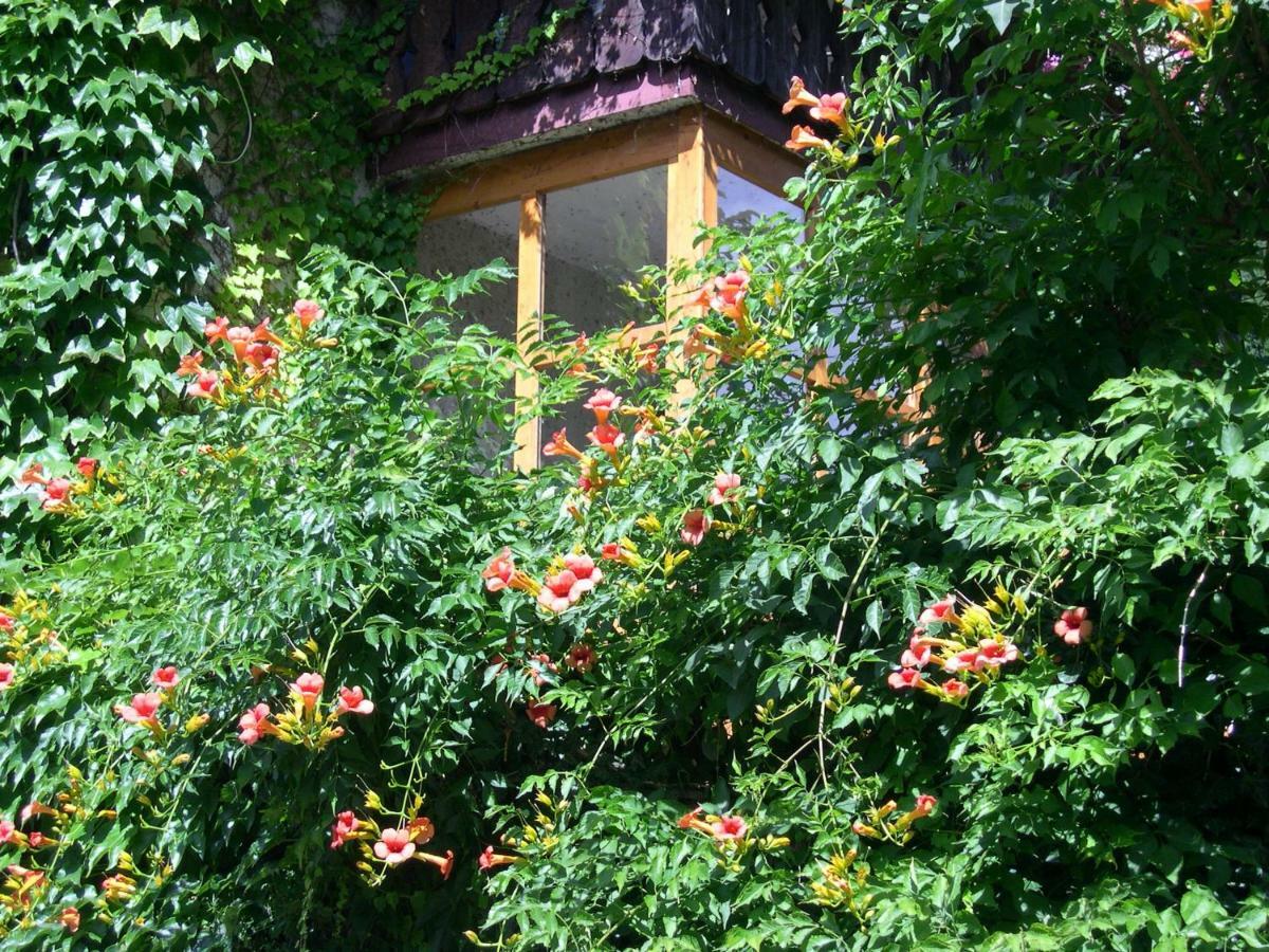Obergereuth Hof 1288 Apartment San Martino In Passiria  ภายนอก รูปภาพ